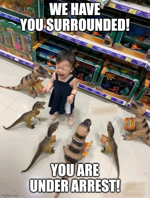 Freeze! | WE HAVE YOU SURROUNDED! YOU ARE UNDER ARREST! | image tagged in girl surrounded by toy dinosaurs | made w/ Imgflip meme maker