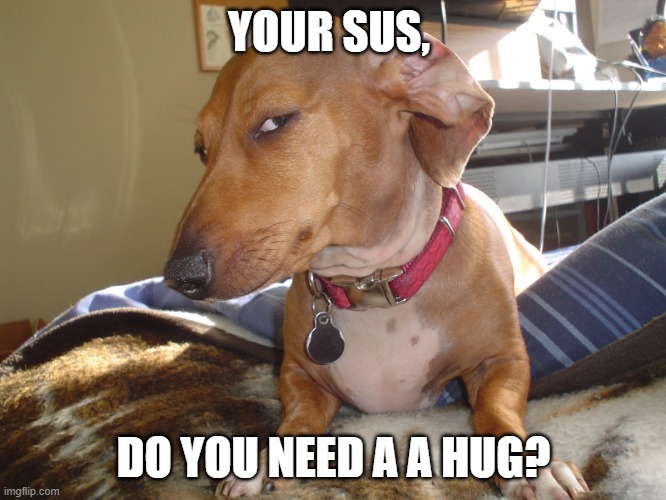 Suspicious Dog | YOUR SUS, DO YOU NEED A A HUG? | image tagged in suspicious dog | made w/ Imgflip meme maker