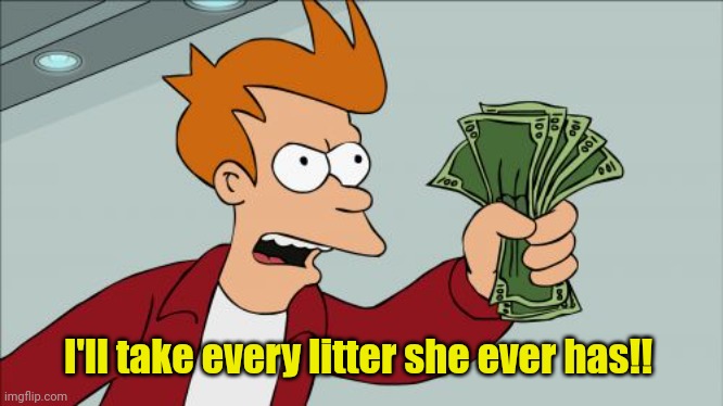 Shut Up And Take My Money Fry Meme | I'll take every litter she ever has!! | image tagged in memes,shut up and take my money fry | made w/ Imgflip meme maker