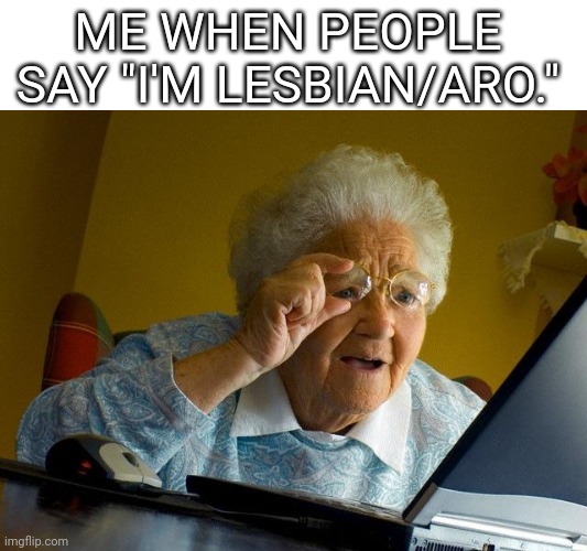 Im sorry if I offend anyone, in which case, can you explain? | ME WHEN PEOPLE SAY "I'M LESBIAN/ARO." | image tagged in memes,grandma finds the internet | made w/ Imgflip meme maker