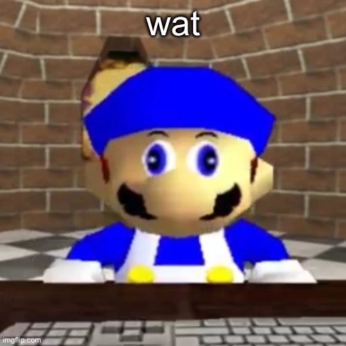 Smg4 derp | wat | image tagged in smg4 derp | made w/ Imgflip meme maker