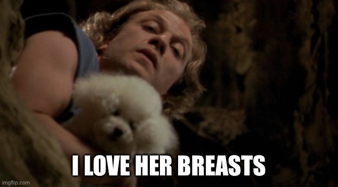 Silence of the lambs lotion | I LOVE HER BREASTS | image tagged in silence of the lambs lotion | made w/ Imgflip meme maker