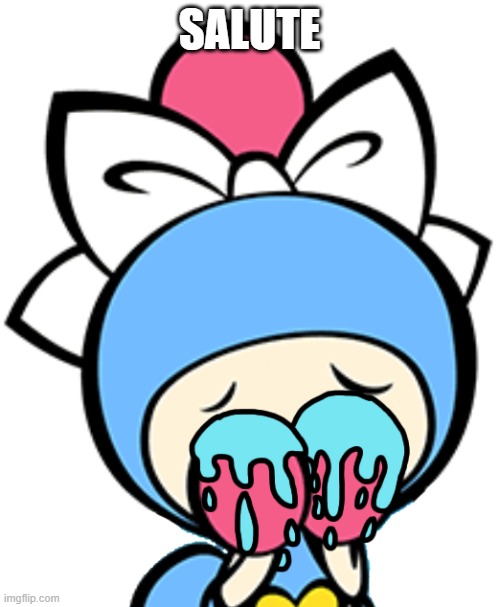 Aqua Bomber crying | SALUTE | image tagged in aqua bomber crying | made w/ Imgflip meme maker