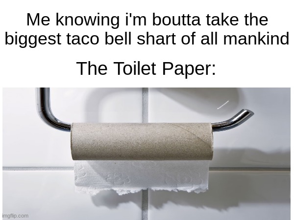 "MOM CAN YOU GET ME SOME TOILET PAPER??" | Me knowing i'm boutta take the biggest taco bell shart of all mankind; The Toilet Paper: | image tagged in relatable,relatable memes,funny memes,funny,memes,toilet paper | made w/ Imgflip meme maker