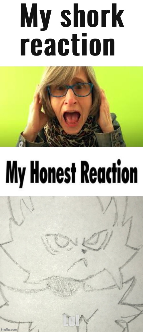 Huh | My shork reaction; Lol | image tagged in my honest reaction | made w/ Imgflip meme maker