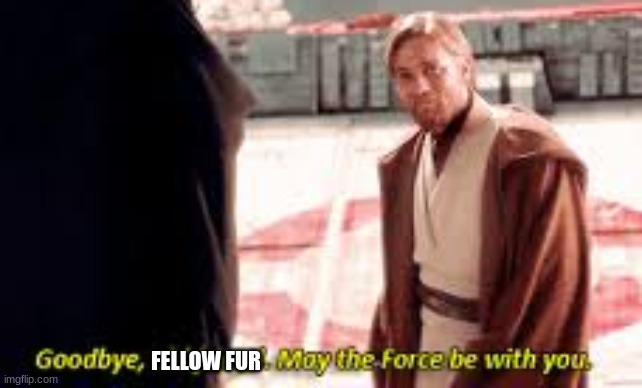 Goodbye old friend may the force be with you | FELLOW FUR | image tagged in goodbye old friend may the force be with you | made w/ Imgflip meme maker