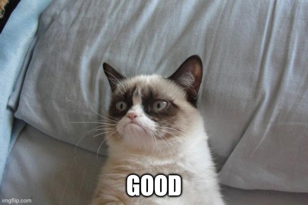 Grumpy Cat Bed Meme | GOOD | image tagged in memes,grumpy cat bed,grumpy cat | made w/ Imgflip meme maker