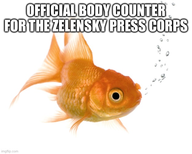 Bad Memory Goldfish | OFFICIAL BODY COUNTER FOR THE ZELENSKY PRESS CORPS | image tagged in bad memory goldfish | made w/ Imgflip meme maker