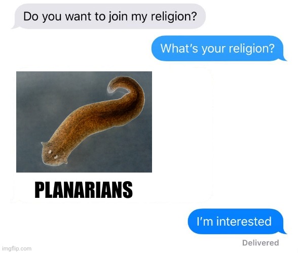 Flatworm religion??? | PLANARIANS | image tagged in whats your religion | made w/ Imgflip meme maker