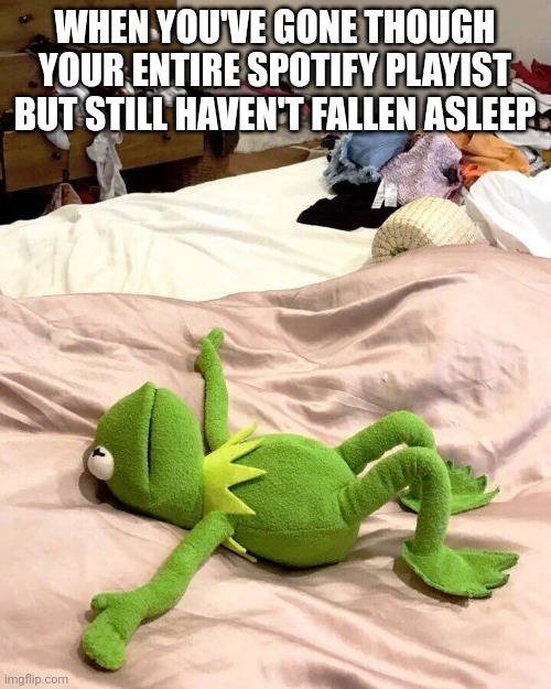 Anyone else listen  to music to sleep? | WHEN YOU'VE GONE THOUGH YOUR ENTIRE SPOTIFY PLAYIST BUT STILL HAVEN'T FALLEN ASLEEP | image tagged in kermit bed meme | made w/ Imgflip meme maker