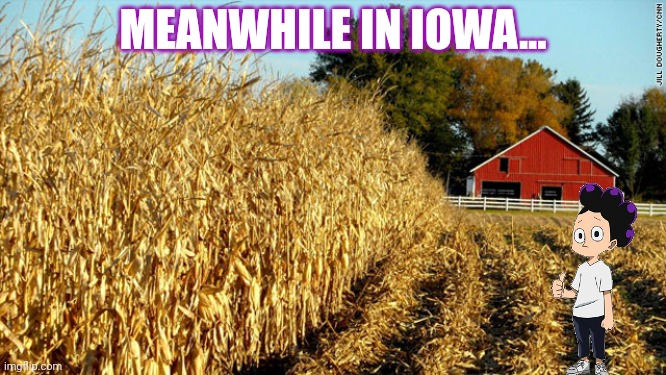 It's time to stop | MEANWHILE IN IOWA... | image tagged in iowa,land of corn,stop it get some help,stop reading the tags | made w/ Imgflip meme maker