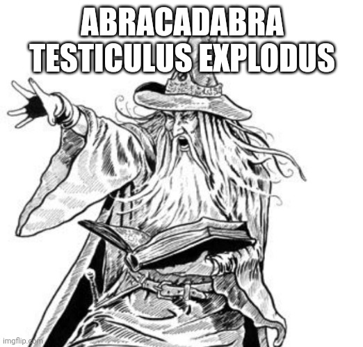 wizard casting a spell | ABRACADABRA TESTICULUS EXPLODUS | image tagged in wizard casting a spell | made w/ Imgflip meme maker