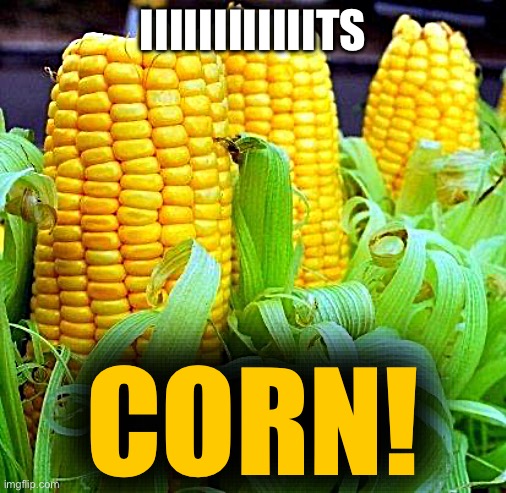CORN meme | IIIIIIIIIIIITS; CORN! | image tagged in corn meme | made w/ Imgflip meme maker