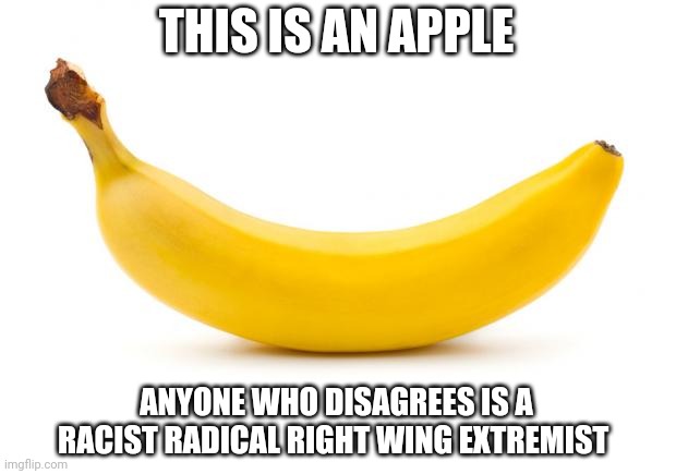 Dem logic | THIS IS AN APPLE; ANYONE WHO DISAGREES IS A RACIST RADICAL RIGHT WING EXTREMIST | image tagged in banana | made w/ Imgflip meme maker