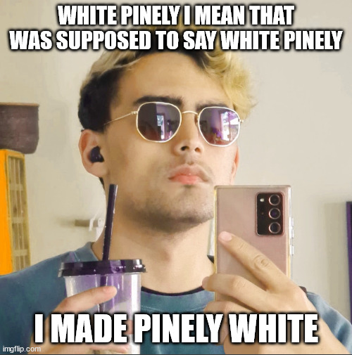 WHITE PINELY I MEAN THAT WAS SUPPOSED TO SAY WHITE PINELY; I MADE PINELY WHITE | image tagged in funny | made w/ Imgflip meme maker