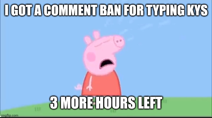 Peppa pig cryne | I GOT A COMMENT BAN FOR TYPING KYS; 3 MORE HOURS LEFT | image tagged in peppa pig cryne | made w/ Imgflip meme maker