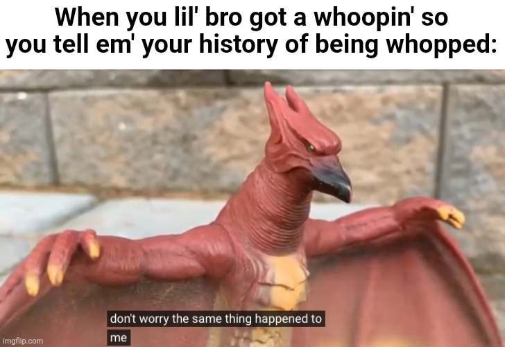 Don’t worry the same thing happened to me | When you lil' bro got a whoopin' so you tell em' your history of being whopped: | image tagged in don t worry the same thing happened to me | made w/ Imgflip meme maker