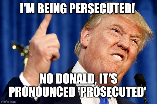 Donald Trump | I'M BEING PERSECUTED! NO DONALD, IT'S PRONOUNCED 'PROSECUTED' | image tagged in donald trump | made w/ Imgflip meme maker
