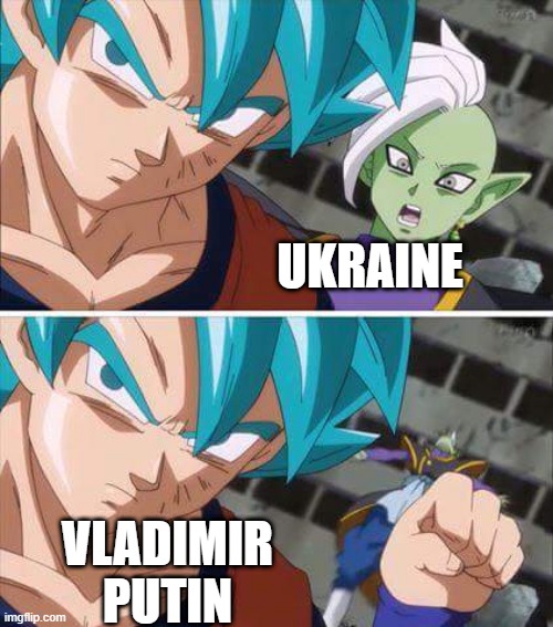 Goku hits zamasu | UKRAINE; VLADIMIR PUTIN | image tagged in goku hits zamasu | made w/ Imgflip meme maker