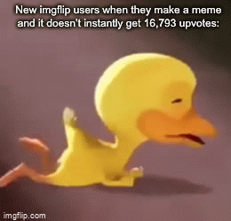 New imgflip users be like: - Imgflip