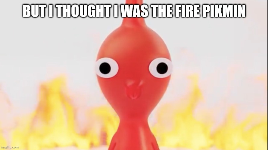 Red pikmin | BUT I THOUGHT I WAS THE FIRE PIKMIN | image tagged in red pikmin | made w/ Imgflip meme maker