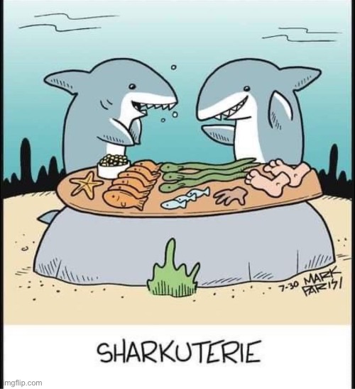 Cute Sharkie (or something) | image tagged in cute,shark,charcuterie | made w/ Imgflip meme maker