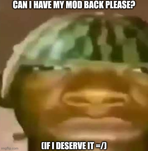 shitpost | CAN I HAVE MY MOD BACK PLEASE? (IF I DESERVE IT =/) | image tagged in shitpost | made w/ Imgflip meme maker