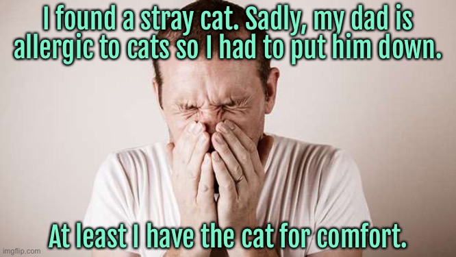 I found stray cat | I found a stray cat. Sadly, my dad is allergic to cats so I had to put him down. At least I have the cat for comfort. | image tagged in big sneeze,dad allergic to cats,had to put him down,still got cat,for comfort,fun | made w/ Imgflip meme maker