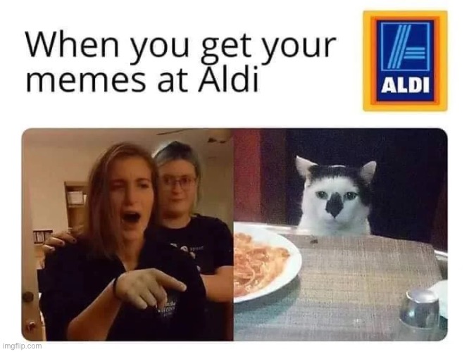 Aldi memes | image tagged in aldi,memes | made w/ Imgflip meme maker