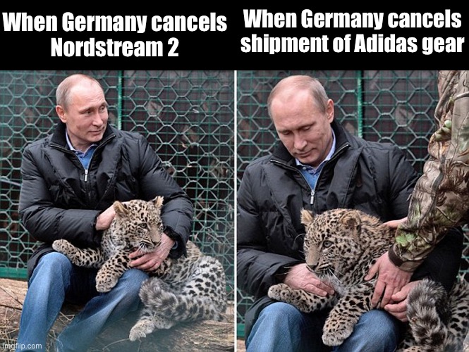 Adidas | When Germany cancels shipment of Adidas gear; When Germany cancels
Nordstream 2 | image tagged in putin leopard 2,adidas,pipeline | made w/ Imgflip meme maker