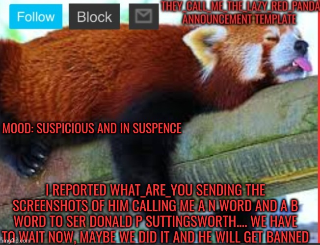 I hope... | MOOD: SUSPICIOUS AND IN SUSPENCE; I REPORTED WHAT_ARE_YOU SENDING THE SCREENSHOTS OF HIM CALLING ME A N WORD AND A B WORD TO SER DONALD P SUTTINGSWORTH.... WE HAVE TO WAIT NOW, MAYBE WE DID IT AND HE WILL GET BANNED | image tagged in they_call_me_the_lazy_red_panda new announcement template,memes,please,report | made w/ Imgflip meme maker