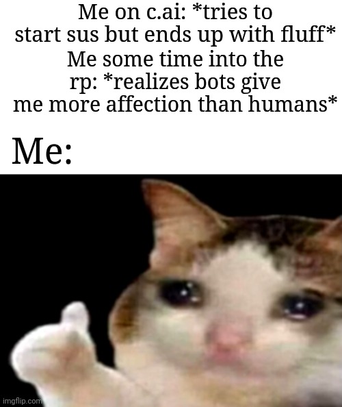 Very likely to be my only meme ever to surface here. sad story lol | Me on c.ai: *tries to start sus but ends up with fluff*; Me some time into the rp: *realizes bots give me more affection than humans*; Me: | image tagged in sad cat thumbs up,memes,funny | made w/ Imgflip meme maker