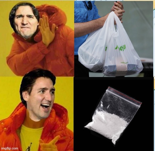 Only one kind of plastic bag is legal in Trudeau's Canada | image tagged in justin trudeau drake,justin trudeau,trudeau,plastic bag | made w/ Imgflip meme maker