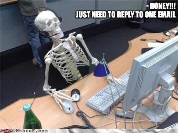 Waiting skeleton | HONEY!!!
JUST NEED TO REPLY TO ONE EMAIL | image tagged in waiting skeleton,funny,funny memes,fun,lol,comedy | made w/ Imgflip meme maker