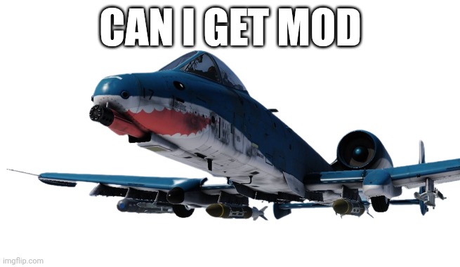 Blahaj A-10 | CAN I GET MOD | image tagged in blahaj a-10 | made w/ Imgflip meme maker