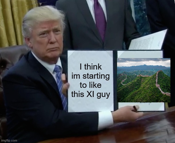 T | I think im starting to like this XI guy | image tagged in memes,trump bill signing,trump wall | made w/ Imgflip meme maker