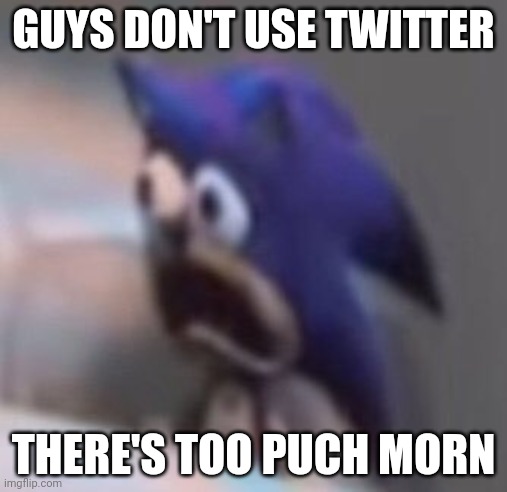 Traumatised Sonic | GUYS DON'T USE TWITTER; THERE'S TOO PUCH MORN | image tagged in traumatised sonic | made w/ Imgflip meme maker