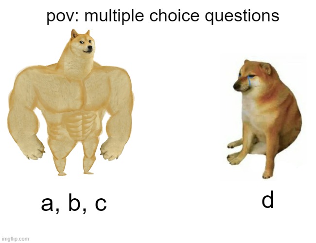 pov: multiple choice questions (MCQ) | pov: multiple choice questions; d; a, b, c | image tagged in memes,buff doge vs cheems | made w/ Imgflip meme maker