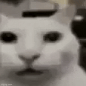 7uqefl.gif