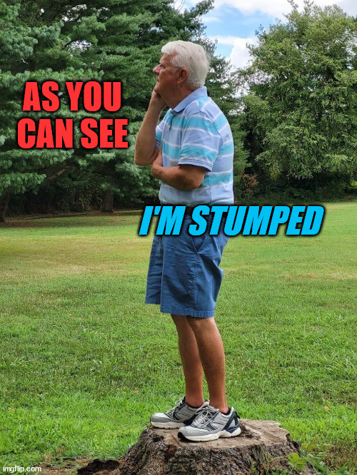 Stumped | AS YOU CAN SEE; I'M STUMPED | image tagged in stumped | made w/ Imgflip meme maker