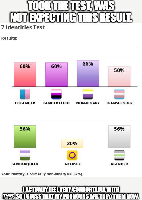 Now I have to change my pronouns on a bunch of sites... OH BOY, THIS IS GONNA BE ANNOYING. | TOOK THE TEST, WAS NOT EXPECTING THIS RESULT. I ACTUALLY FEEL VERY COMFORTABLE WITH THIS, SO I GUESS THAT MY PRONOUNS ARE THEY/THEM NOW. | image tagged in lgbtq,non-binary,7 identies test,results,oh wow are you actually reading these tags | made w/ Imgflip meme maker