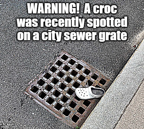 I thought this only happened in NYC | WARNING!  A croc was recently spotted on a city sewer grate | image tagged in crocs,funny | made w/ Imgflip meme maker