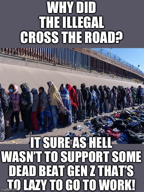 Yep | WHY DID THE ILLEGAL CROSS THE ROAD? IT SURE AS HELL WASN’T TO SUPPORT SOME DEAD BEAT GEN Z THAT’S TO LAZY TO GO TO WORK! | image tagged in gen z | made w/ Imgflip meme maker