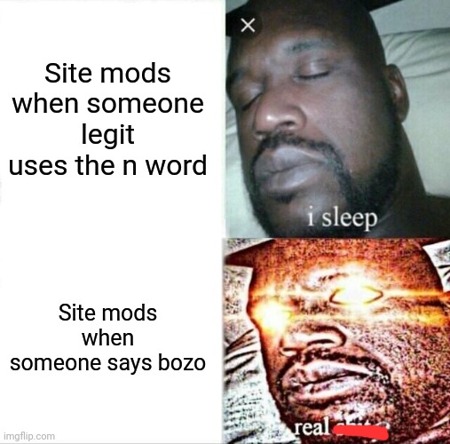 Why? WHY?!???!!? | Site mods when someone legit uses the n word; Site mods when someone says bozo | image tagged in memes,sleeping shaq,imgflip mods,why tho | made w/ Imgflip meme maker