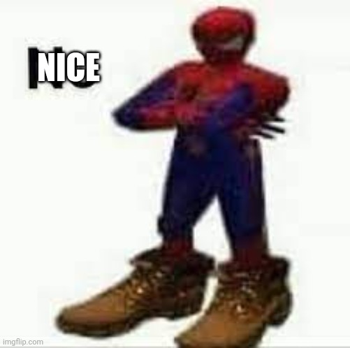 No spiderman | NICE | image tagged in no spiderman | made w/ Imgflip meme maker