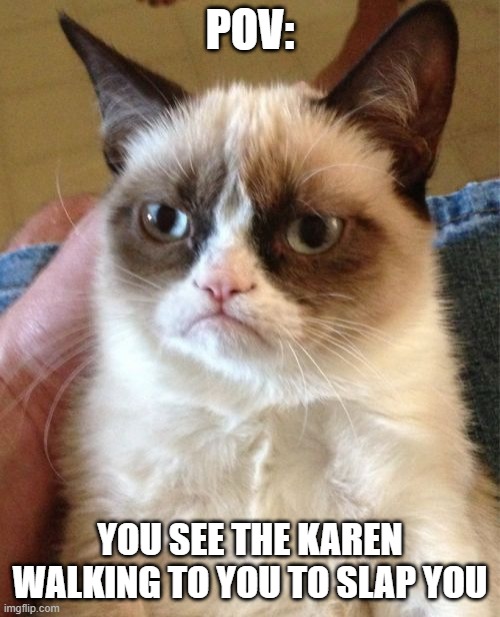 Grumpy Cat | POV:; YOU SEE THE KAREN WALKING TO YOU TO SLAP YOU | image tagged in memes,grumpy cat | made w/ Imgflip meme maker