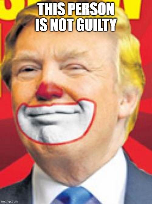 Donald Trump the Clown | THIS PERSON IS NOT GUILTY | image tagged in donald trump the clown | made w/ Imgflip meme maker