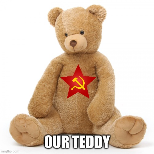 Teddy bear | OUR TEDDY | image tagged in teddy bear | made w/ Imgflip meme maker