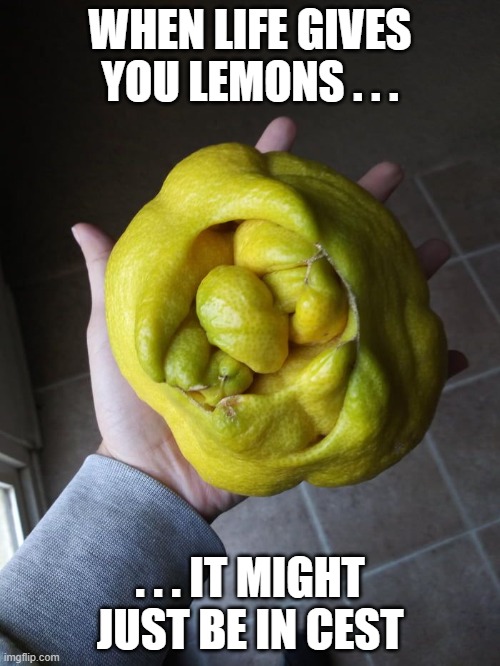 When life gives you lemons, by dyslectic about it and eat melons. | WHEN LIFE GIVES YOU LEMONS . . . . . . IT MIGHT JUST BE IN CEST | image tagged in mutant lemon | made w/ Imgflip meme maker