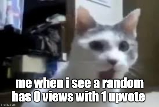 :0 | me when i see a random has 0 views with 1 upvote | image tagged in omg cat,what | made w/ Imgflip meme maker